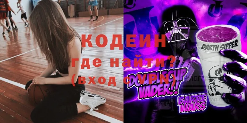 Кодеин Purple Drank  ссылка на мегу сайт  Карачаевск 