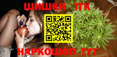 тгк Гатчина