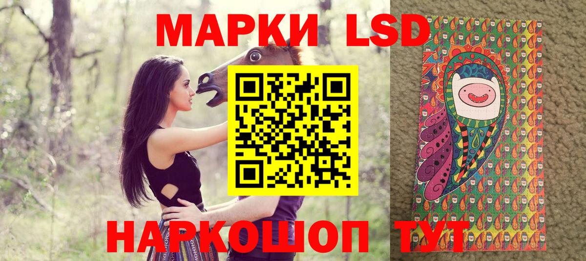  COCAIN Карачаевск