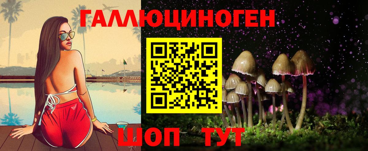 Псилоцибиновые грибы Cubensis Карачаевск